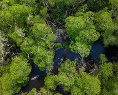 Private Clear Kayak Tour In Miami Mangrove Tunnels