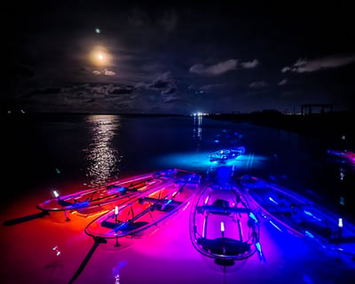 Paddle an LED-Lit Clear Kayak Tour in Corpus Christi