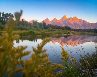 Full-Day Guided Tour of Grand Teton National Park