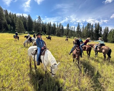 Private 8-9 Hour Horseback Ride & Grand Teton Tour