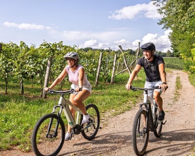 Guided Palisade Winery E-Bike Tour