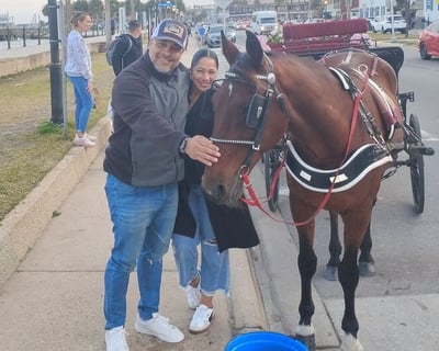 St. Augustine Historic Horse-Drawn Carriage Tour