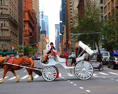 45-Minute Central Park Horse Carriage Tour