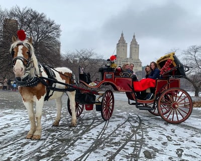 Central Park 1-Hour Horse Carriage Tour