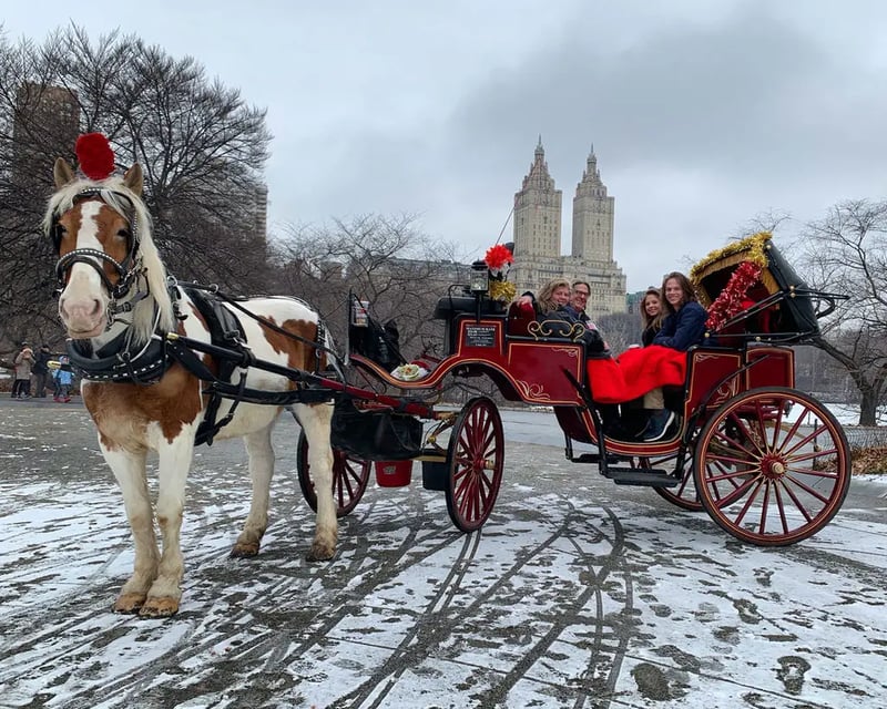 Central Park 1-Hour Horse Carriage Tour
