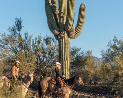 1.5-Hour Wickenburg Horseback Ride
