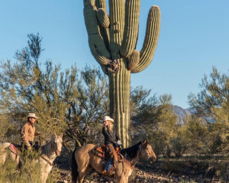1.5-Hour Wickenburg Horseback Ride