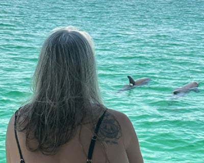2-Hour Dolphin Cruise in Gulf Breeze