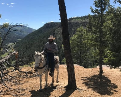 Ice Caves Horseback Ride in San Juan National Forest