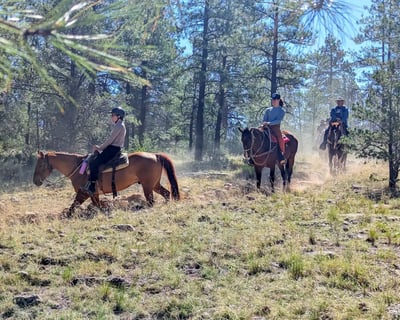 Evening Campfire Horseback Ride in Grand Canyon Village