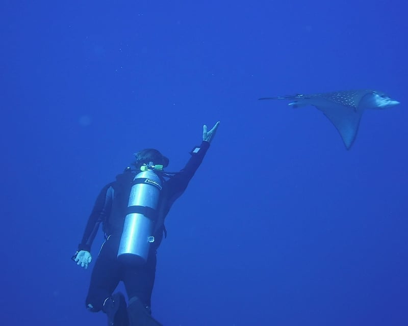 Private Scuba Diving Tour in Panama City Beach