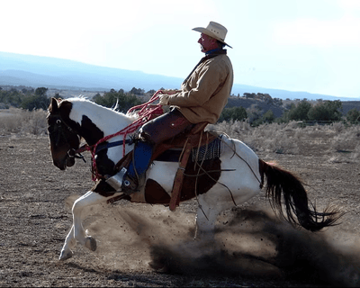 3-Day Horsemanship Clinic in Hendersonville