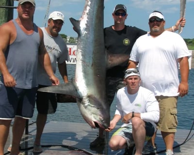 Full-Day Inshore Shark Fishing Charter Point Pleasant Beach