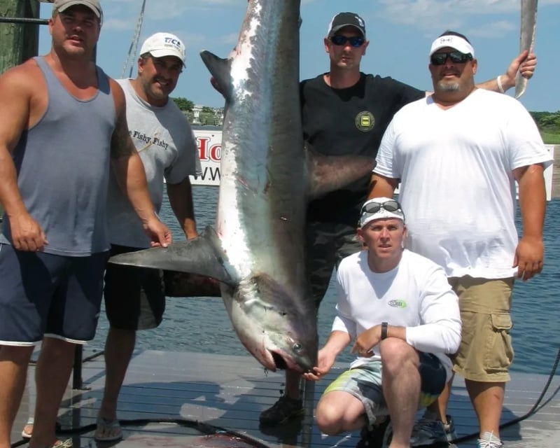 Full-Day Inshore Shark Fishing Charter Point Pleasant Beach