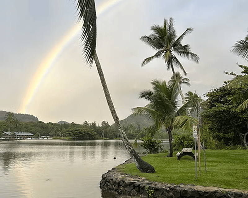 8-Hour Wailua River Kayak & SUP Rental
