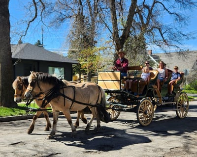 Bozeman Historic District Carriage Ride