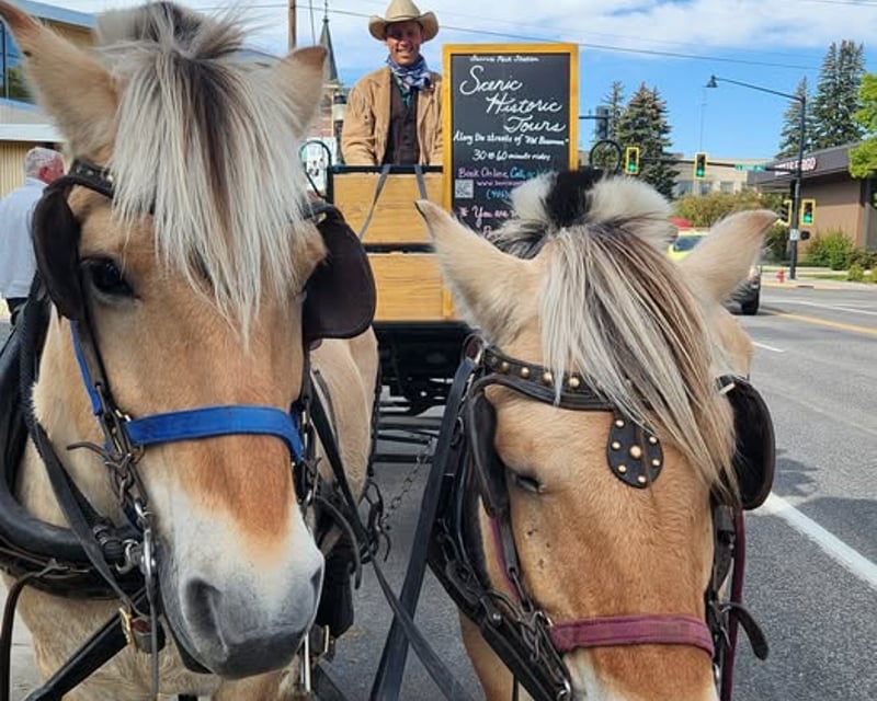 Bozeman Historic District Horse-Drawn Carriage Ride
