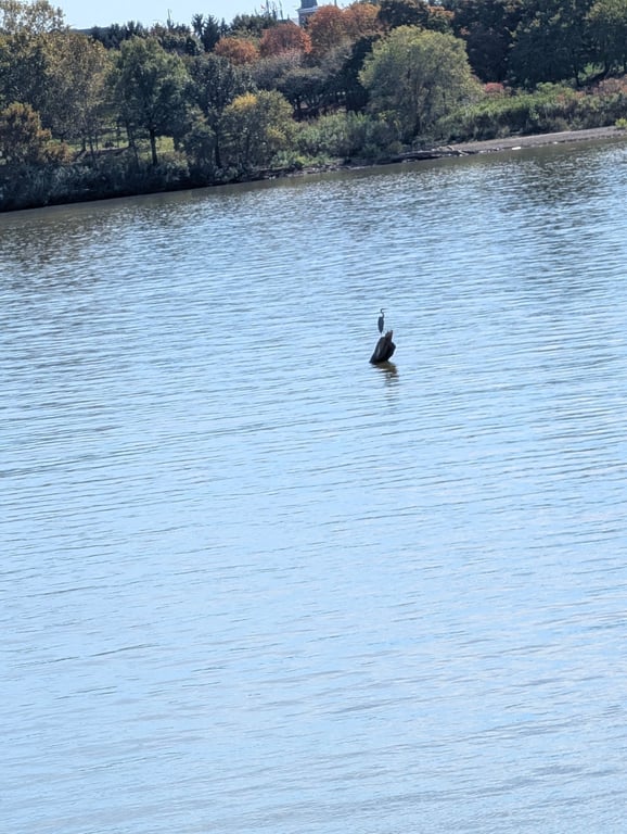Review image 3