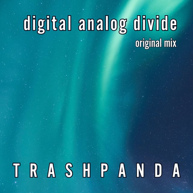 Digital Analog Divide