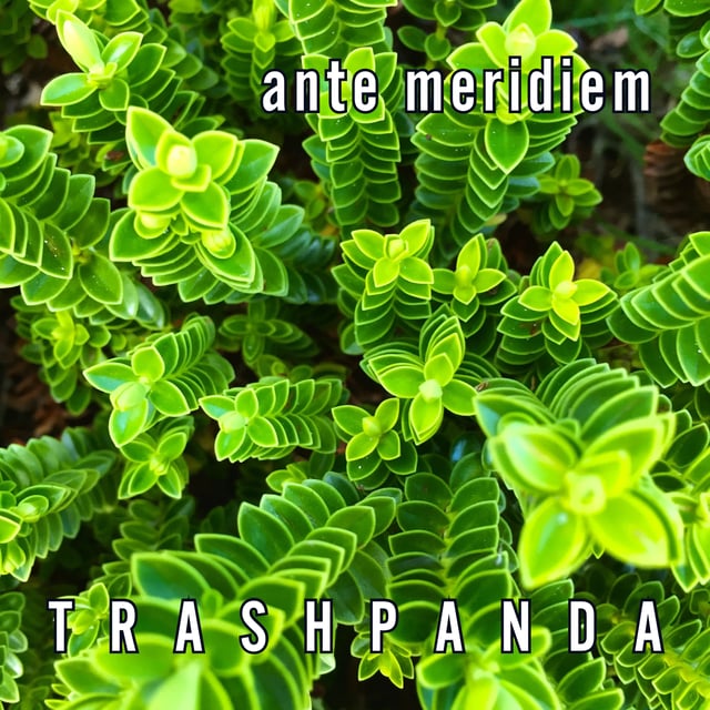 Ante Meridiem