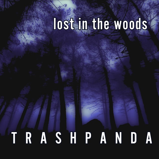 Lost in the Woods