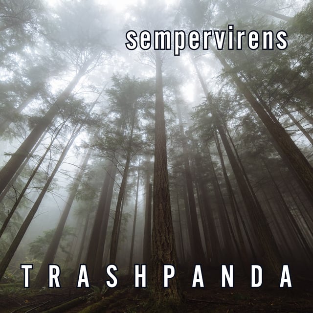 Sempervirens