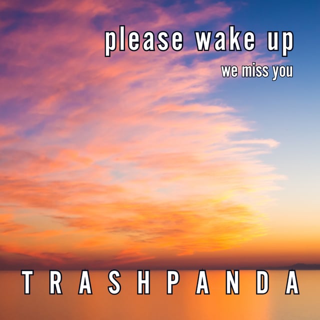 Please Wake Up