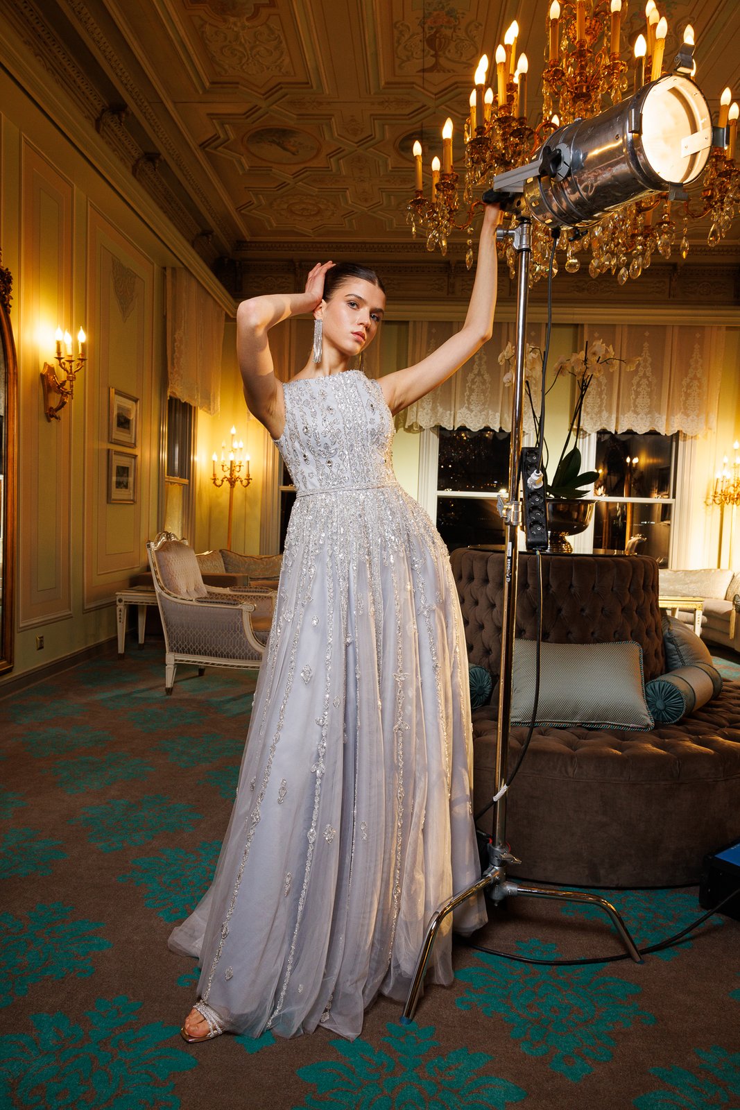 Robella İşlemeli Elbise - Gri