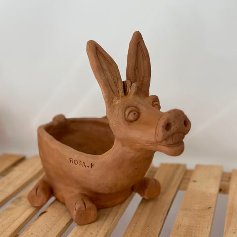 Foto de Vaso burrinho