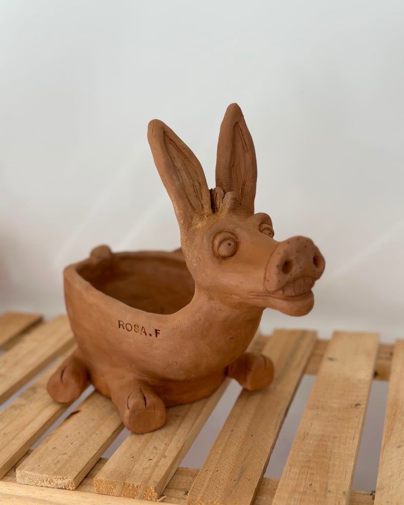 Foto de Vaso burrinho