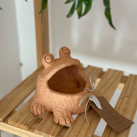 Foto de Sapinho
