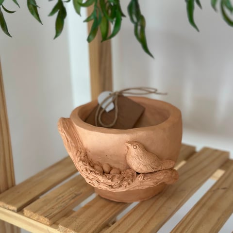 Foto de Vaso ninho