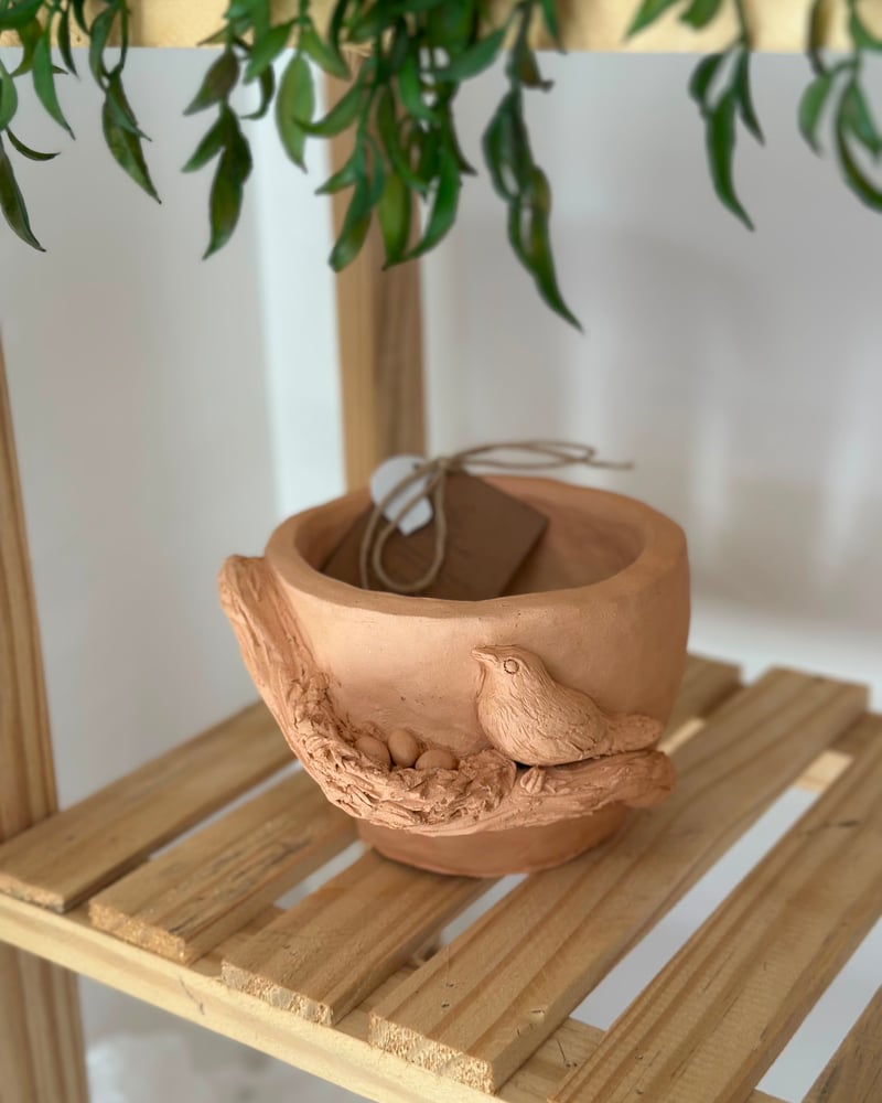 Foto de Vaso ninho