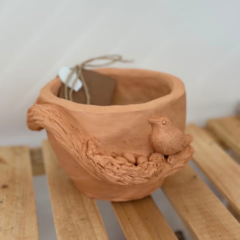 Foto de Vaso ninho