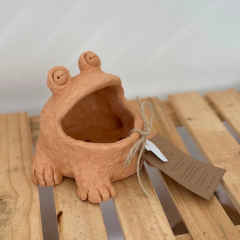 Foto de Sapinho
