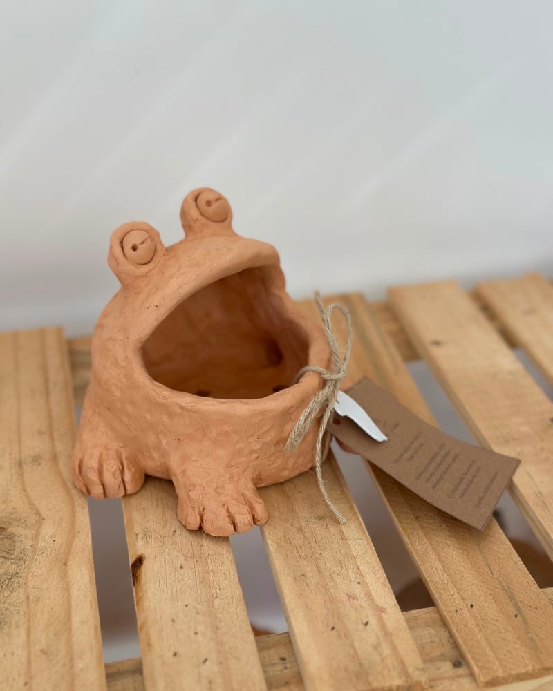 Foto de Sapinho