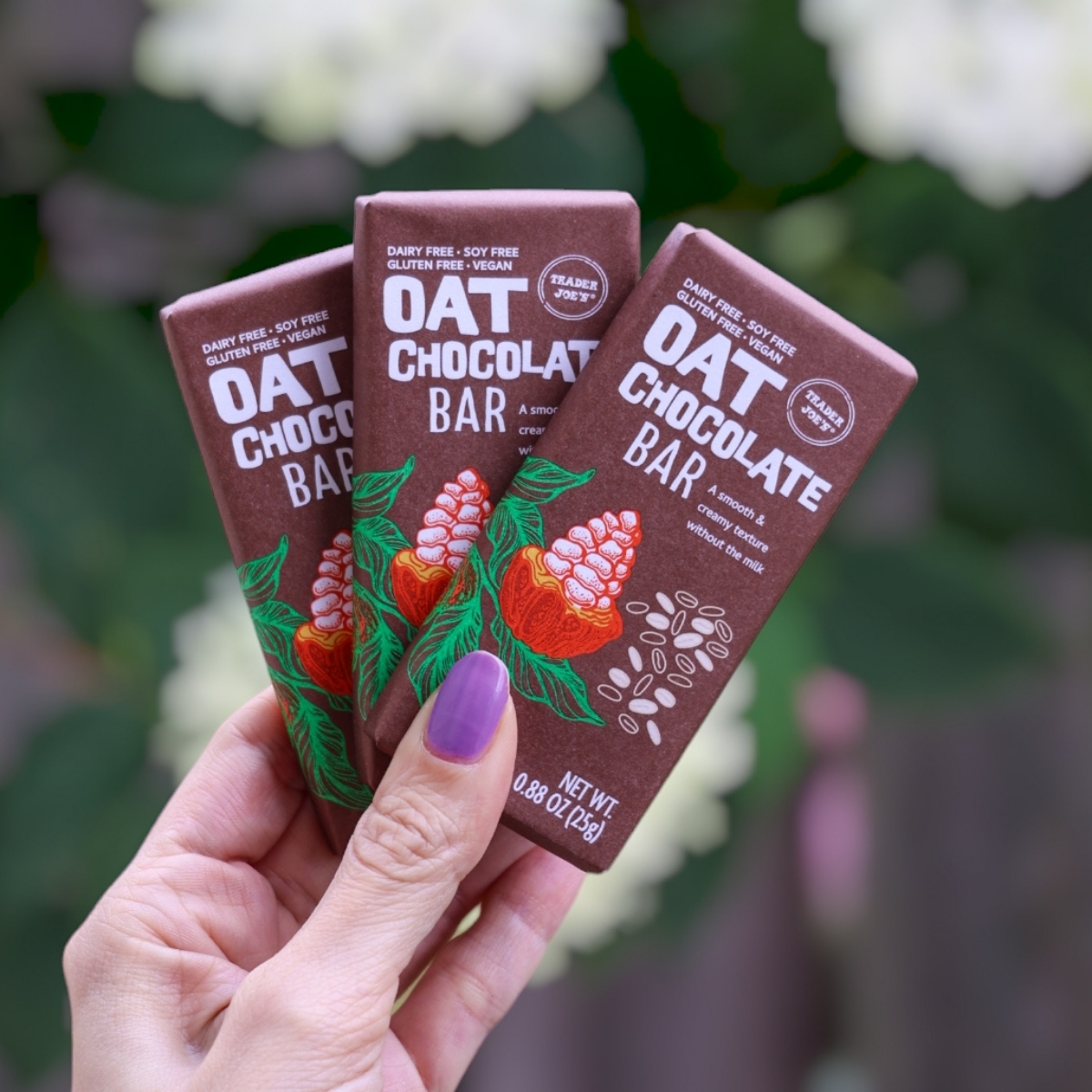 Trader Joe's Oat Chocolate Bars Reviews abillion