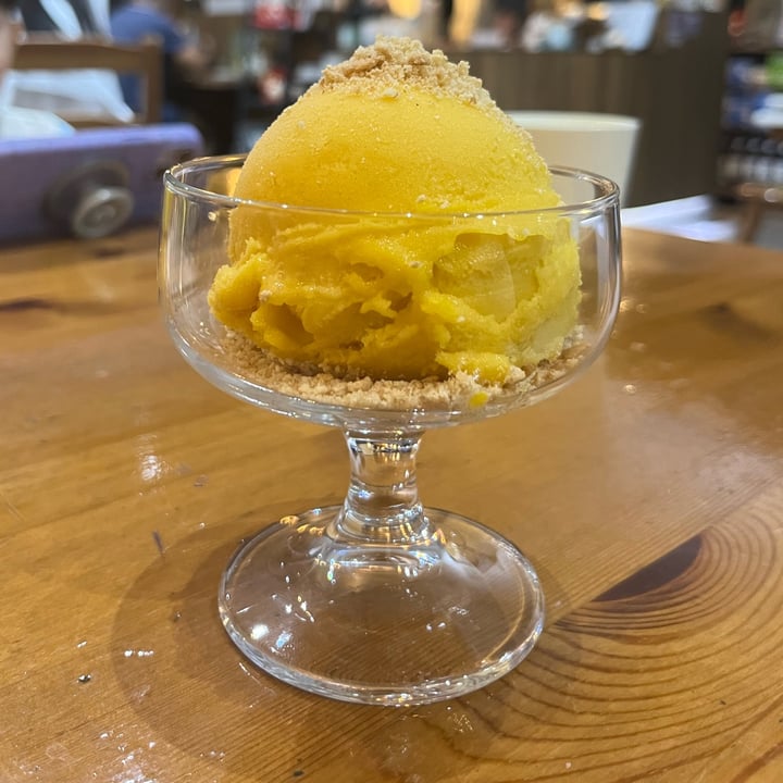 photo of Lucky Cat Vegan Mango Sorbet shared by @soy-orbison on  27 Apr 2024 - review