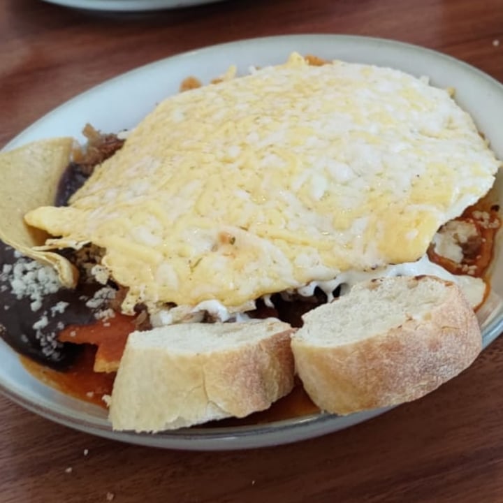 photo of Café Vegetal chilaquiles gratinados shared by @carolinamar on  14 Sep 2024 - review
