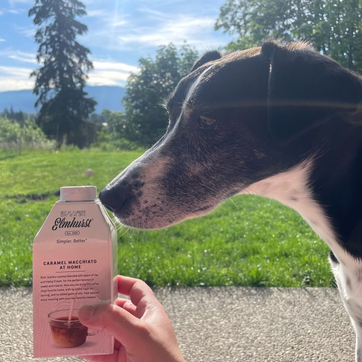 photo of Elmhurst 1925 Caramel Macchiato shared by @veganvanwoman on  12 Jun 2024 - review