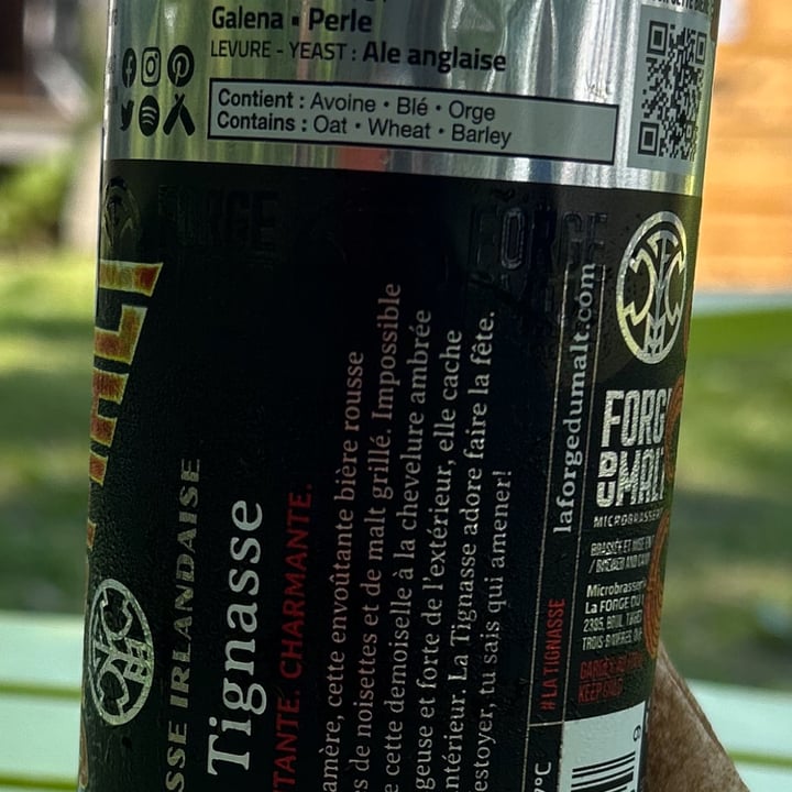 photo of La Forge du Malt La Tignasse, Strong Beer 🍺 shared by @maryanarch on  02 Aug 2025 - review