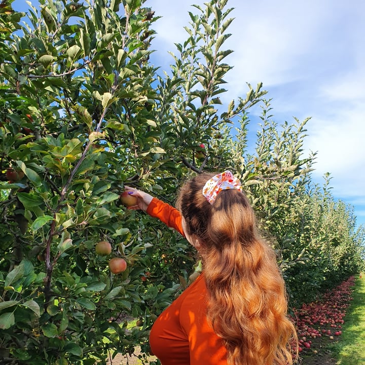 photo of Beilke Family Farm U-Pick Apples shared by @anistavrou on  11 Dec 2024 - review