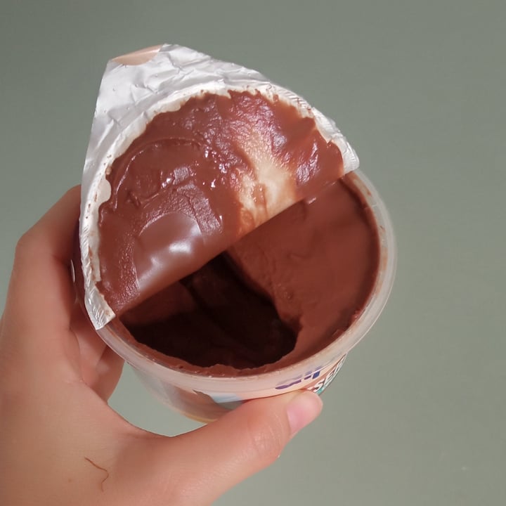 photo of Alpro Dessert chocolate-coconut shared by @melanzanamiz on  05 Jun 2024 - review