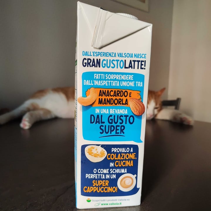 photo of Valsoia GRAN GUSTO LATTE shared by @unazampaperlaspagna on  25 Aug 2023 - review