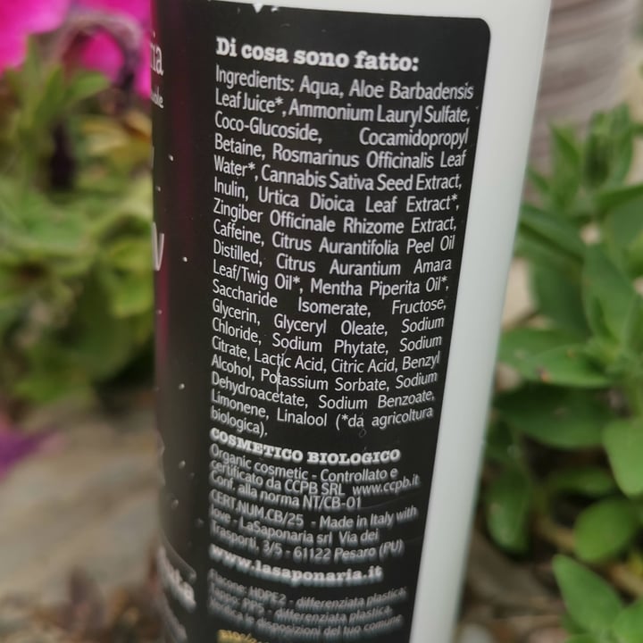 photo of La Saponaria shampoo Sativ Action uomo shared by @kekolove72 on  29 Apr 2024 - review