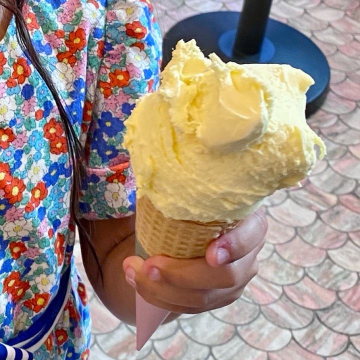 photo of Anita La Mamma del Gelato Mango Sorbet shared by @olympiasplate on  05 Aug 2025 - review