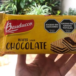 Wafer Sabor chocolate Bauducco