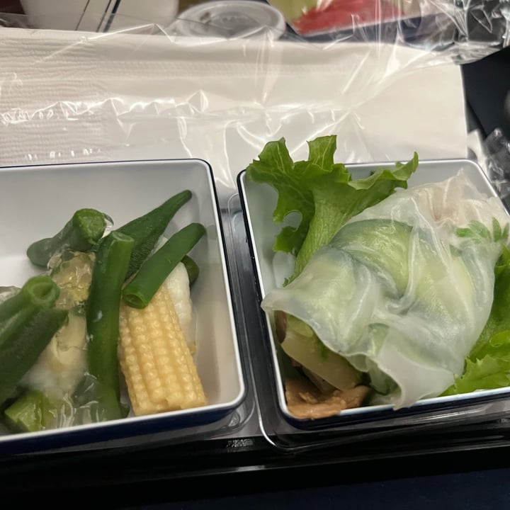 photo of All Nippon Airways (ANA) Green Curry with steamed mixed grain rice shared by @soy-orbison on  19 Dec 2024 - review