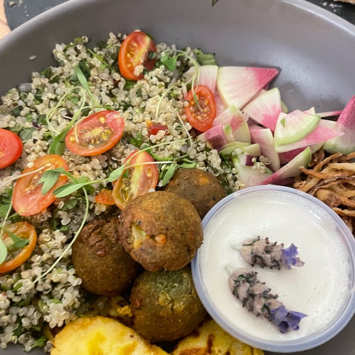 photo of Vegamo falafel shared by @chica-polemica on  29 May 2024 - review