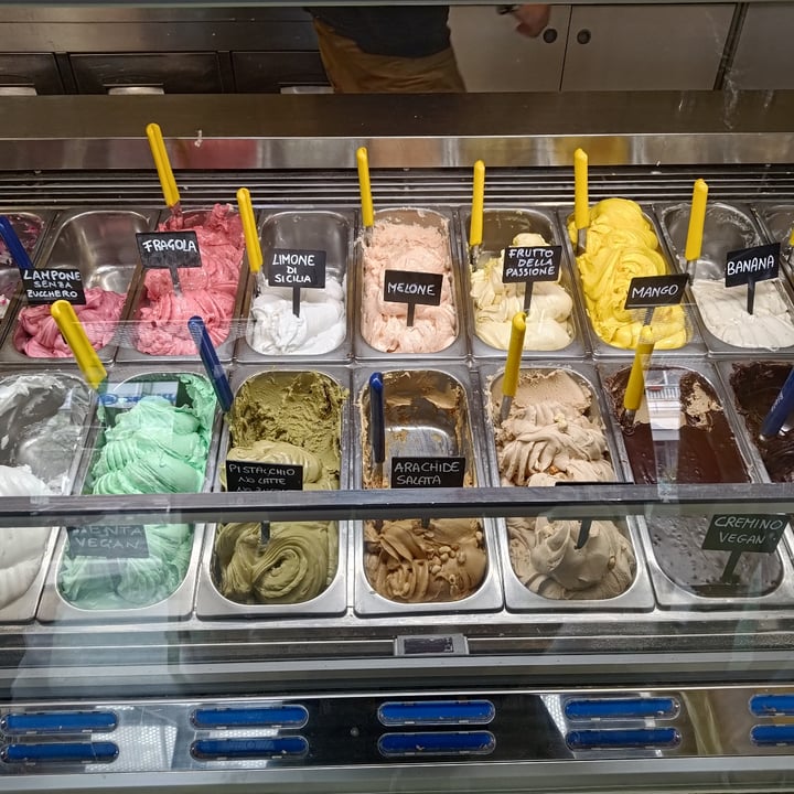 photo of Il Settimo Gelo Gelato Gusti Vari shared by @helebias on  24 May 2024 - review